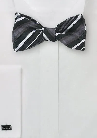 Papilllon argeno bianco