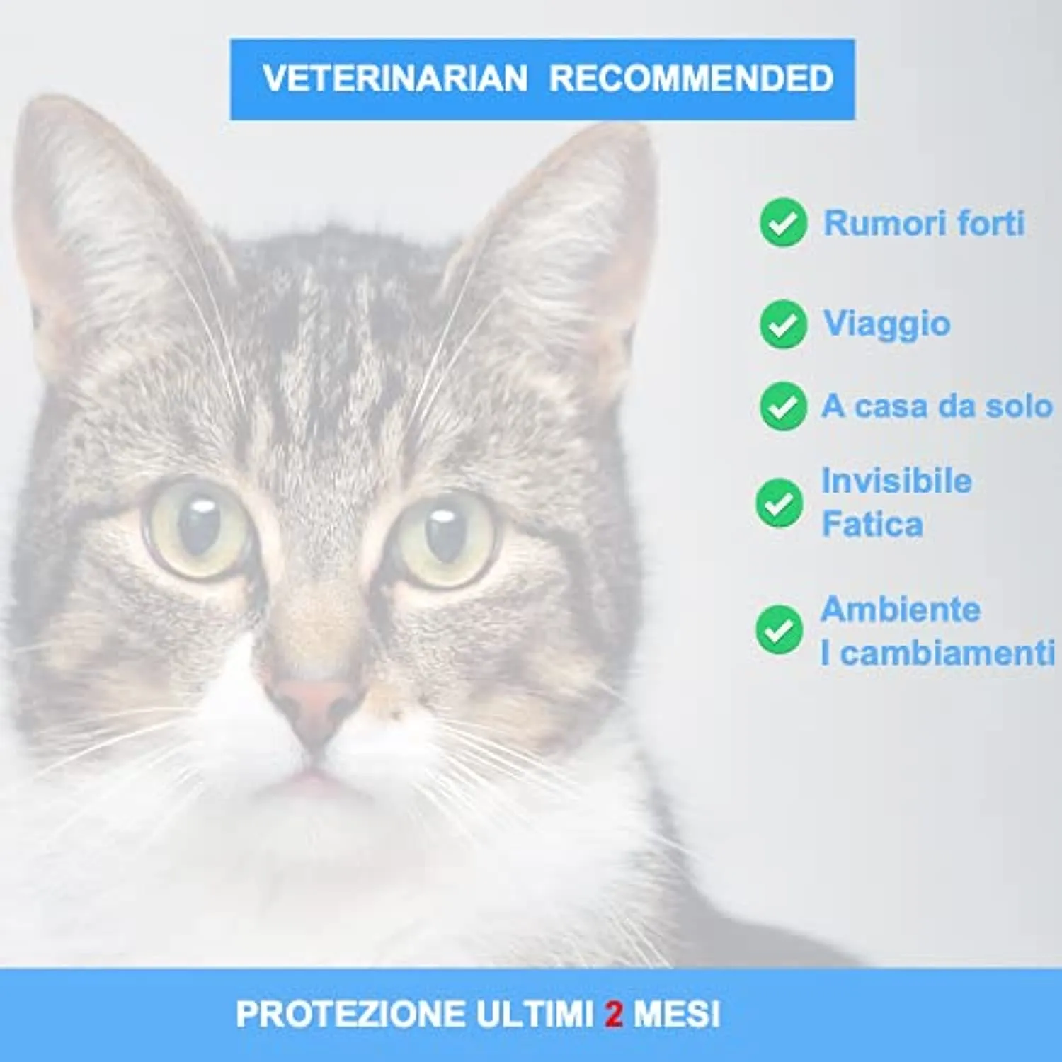 Pets4Luv Collare calmante per Gatti - Collari calmanti ai feromoni, Anti ansia per Gatti di Taglia Piccola, Media e Grande - Reg