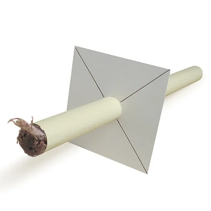 Torcia A Vento Cereria graziani