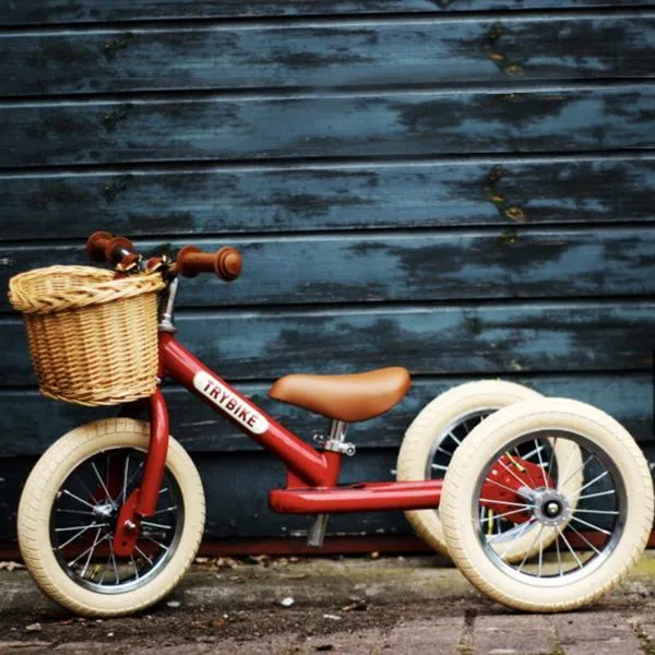 Trybike - Cestino
